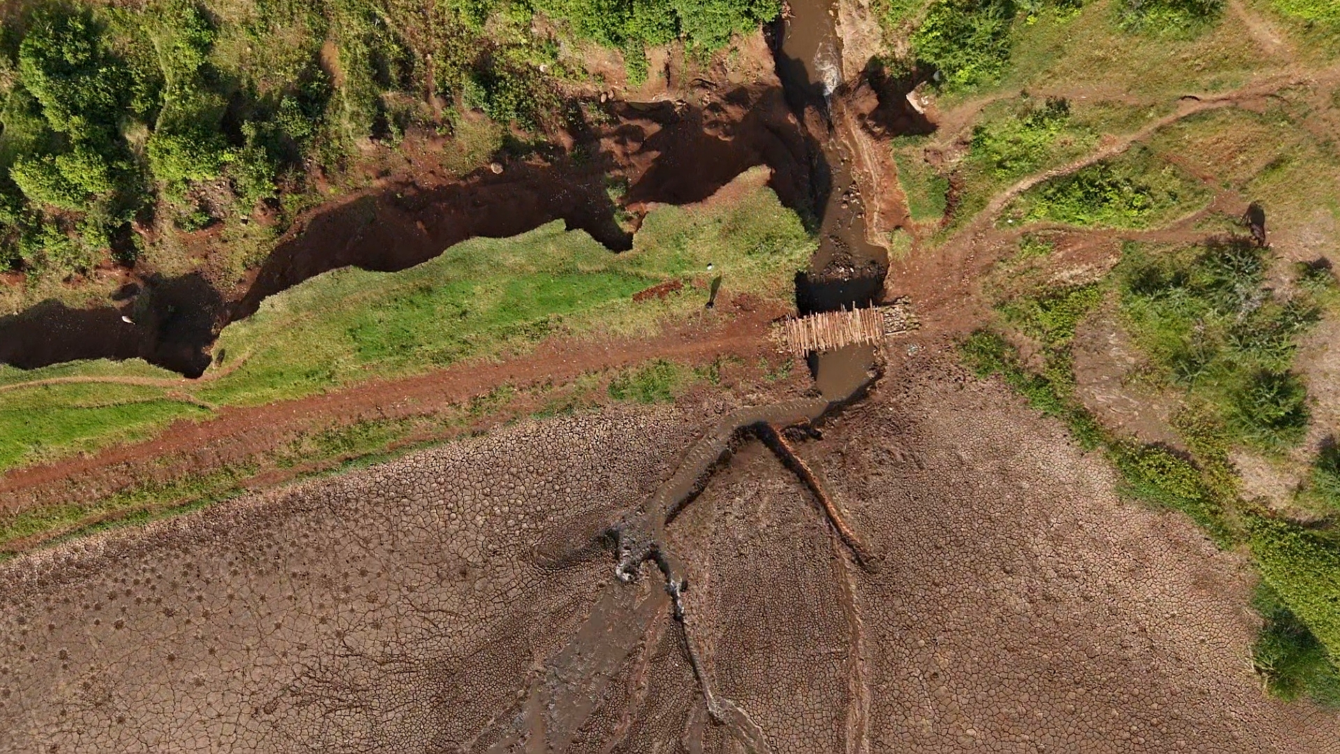 dji_fly_20240516_161106_0_1715865066999_photo_low_quality